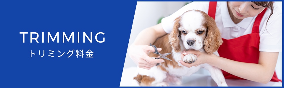 トリミング